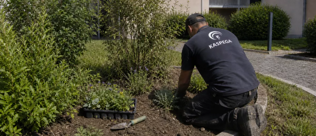Kaspega-Mitarbeiter bei der Beetpflege