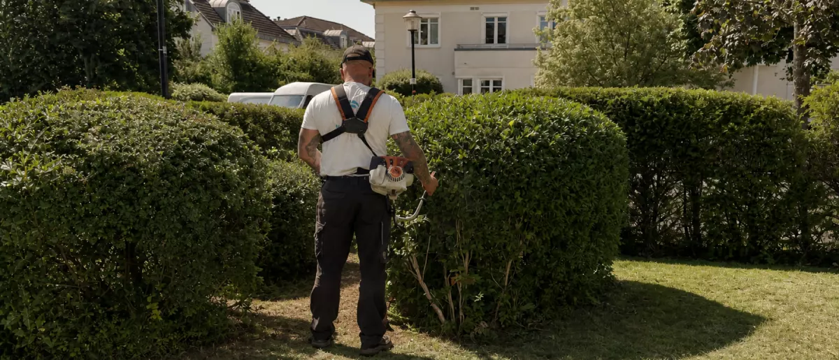 Kaspega-Mitarbeiter bei der Heckenpflege